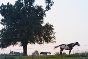 vpem-karcherhof-IMG 1254