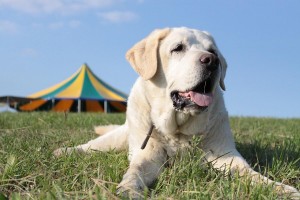 vpem-karcherhof-IMG 1296