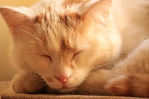 vpem-karcherhof-IMG 1589